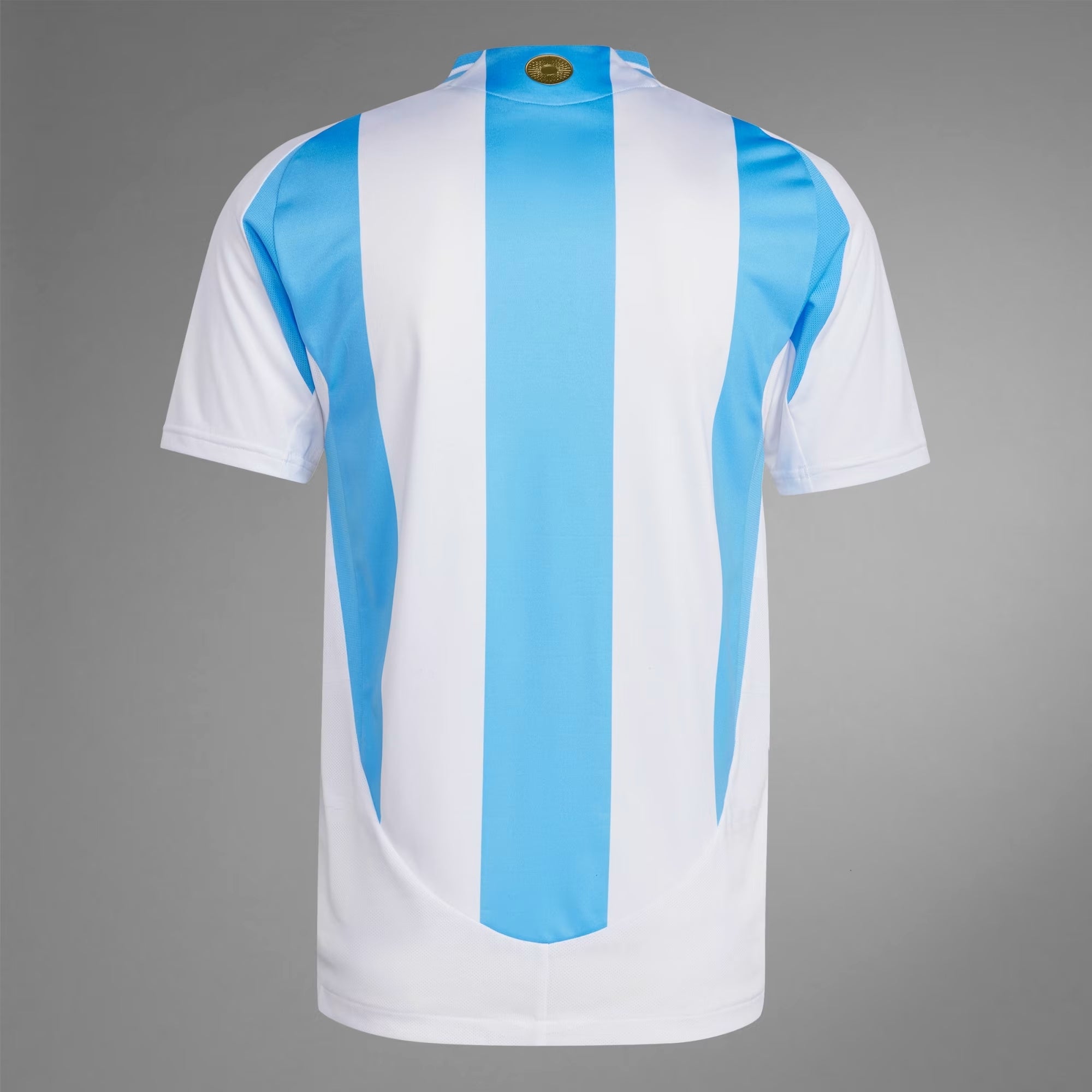 adidas Argentina 2024 Match Home Men's HEAT.RDY Soccer Authentic Jersey - White / Blue Burst