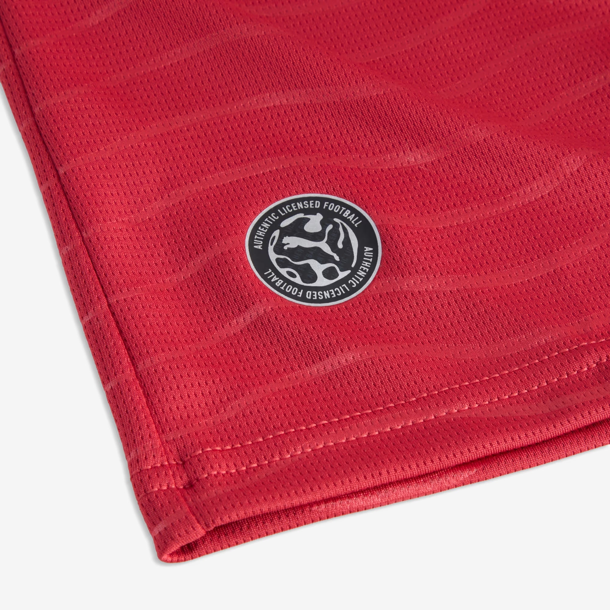 PUMA Portugal 2026 Stadium Home Ronaldo Men's Long-Sleeve Soccer Jersey - Club Red-Green Lagoon