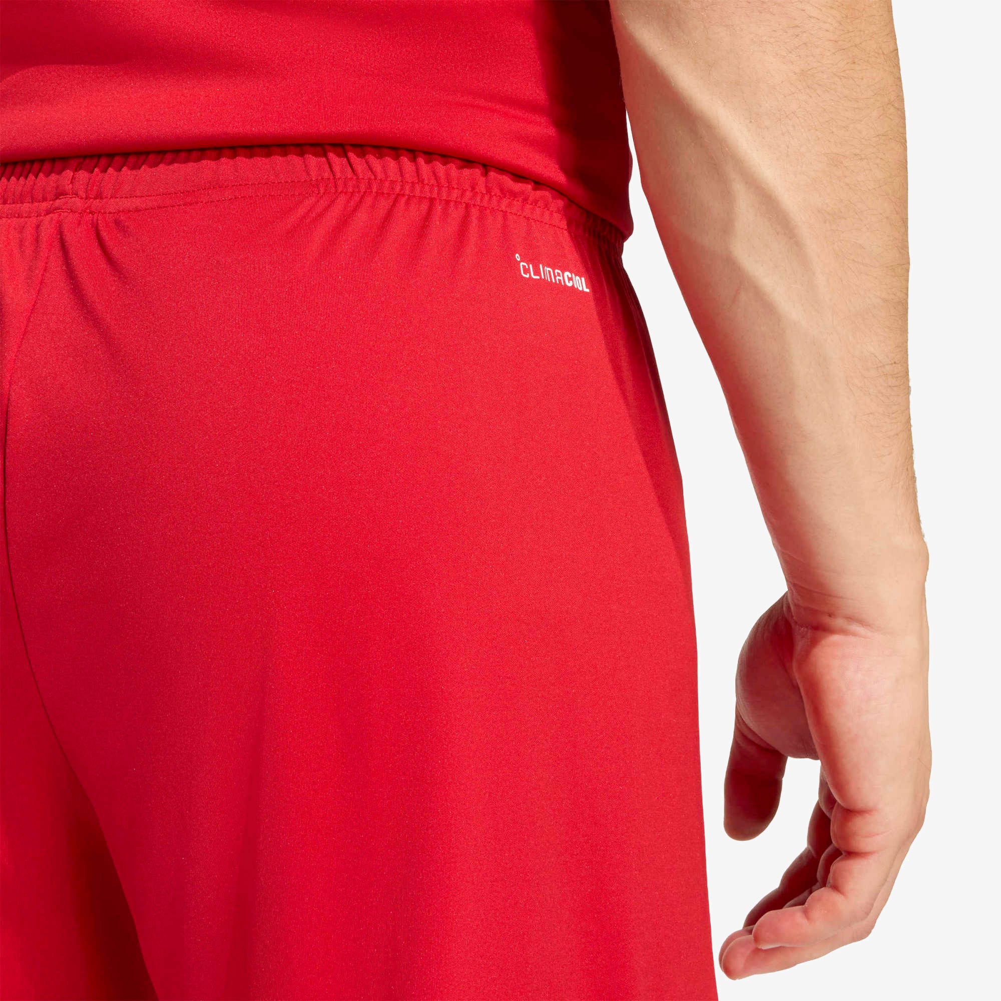 adidas Entrada 26 Men's Soccer Shorts - Team Power Red 2 / White