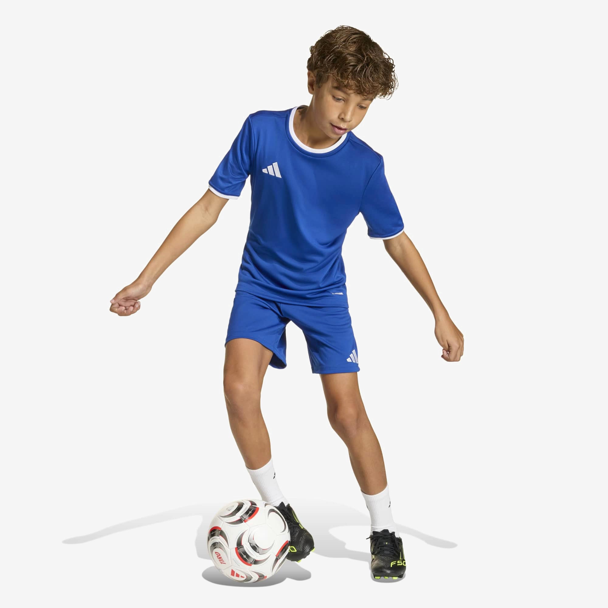 adidas Entrada 26 Big Kids' Soccer Shorts - Team Royal Blue / White