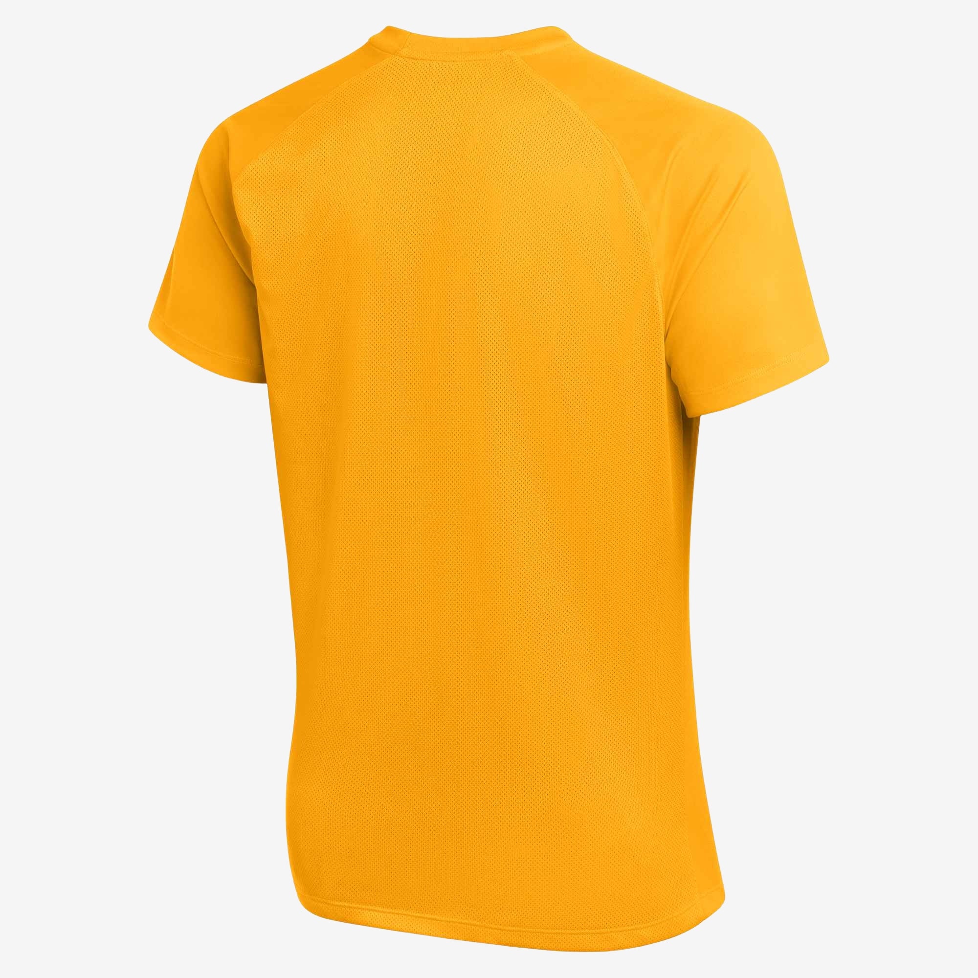 Nike Dri-FIT Park VIII Men's Short-Sleeve Soccer Jersey - University Gold/Black