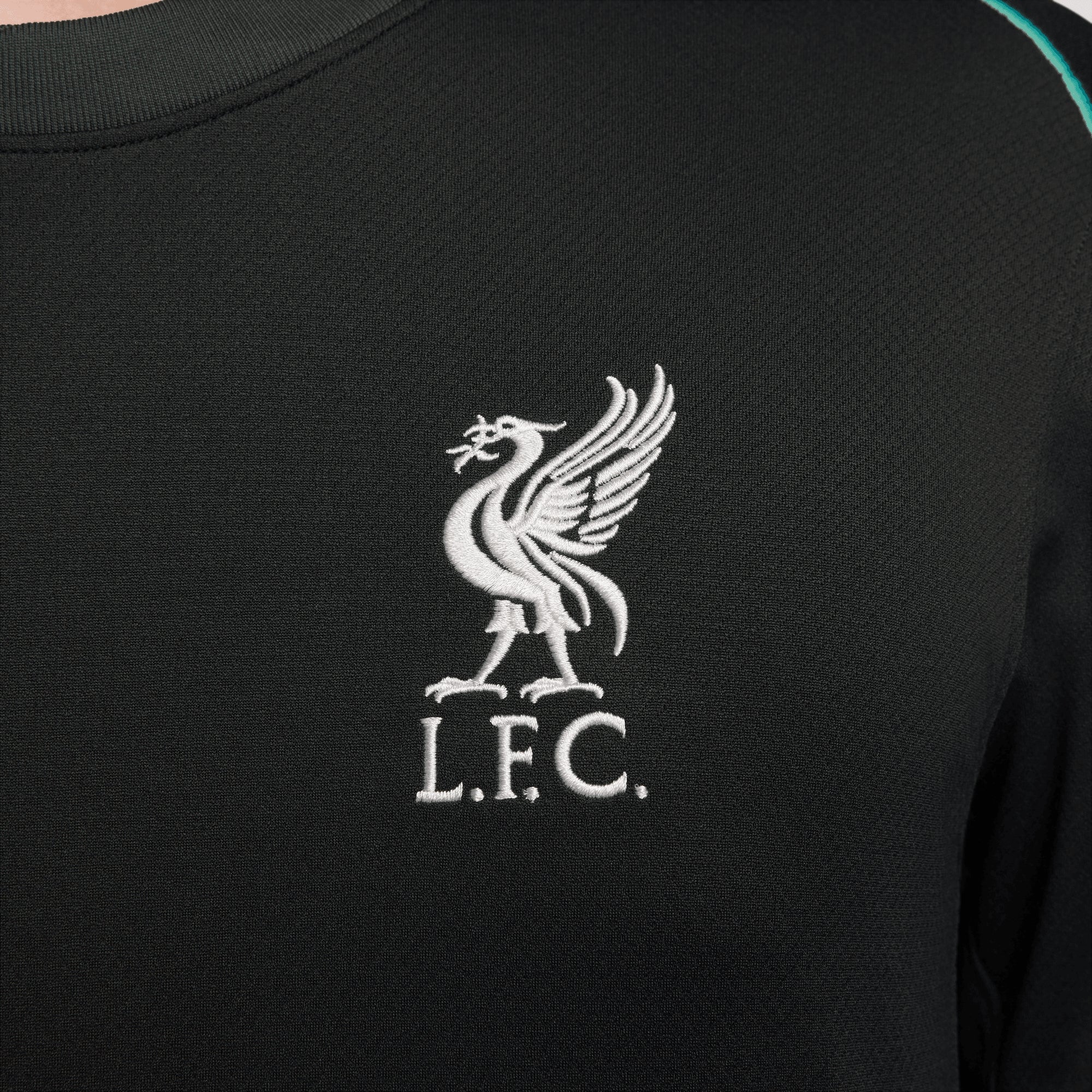 Nike Liverpool FC 2024/25 Stadium Away Men's Dri-FIT Soccer Replica Jersey - Night Forest/Anthracite/Washed Teal/Sail