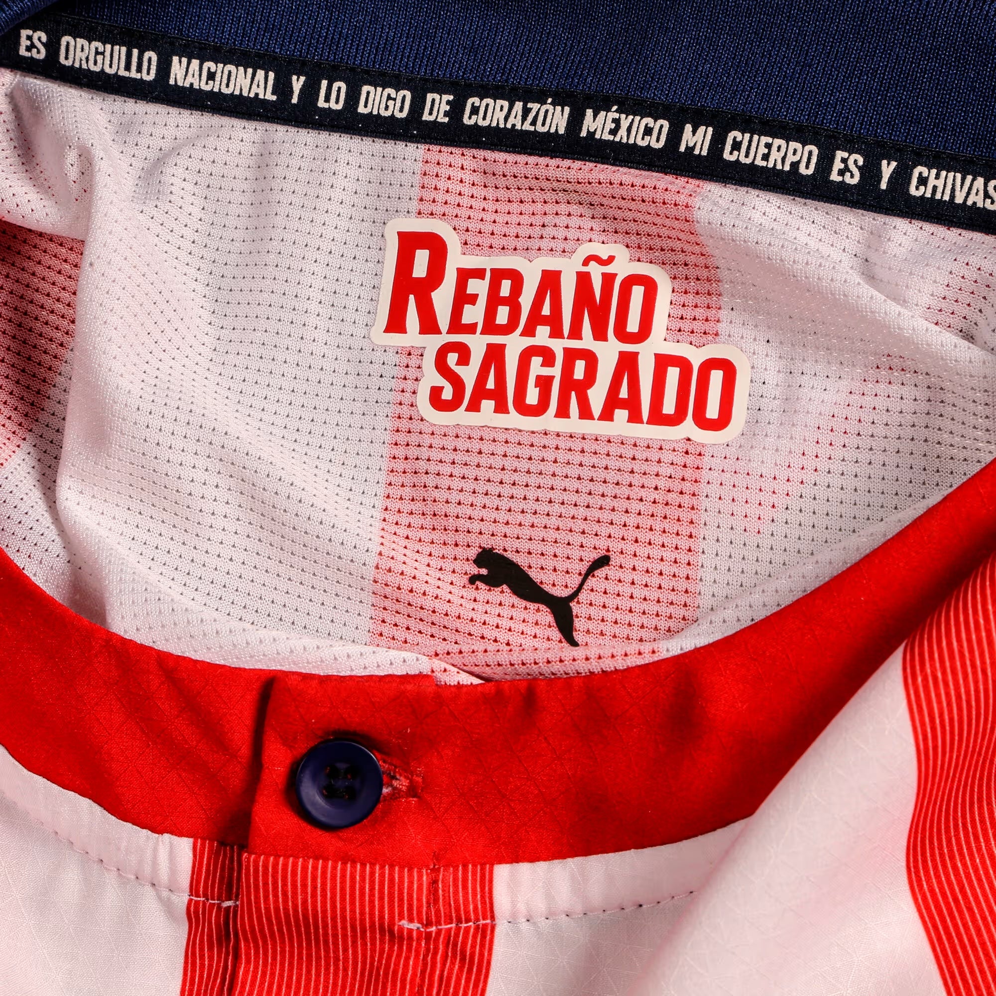 PUMA Chivas Edición 120 Aniversario Men's Soccer Jersey - For All Time Red