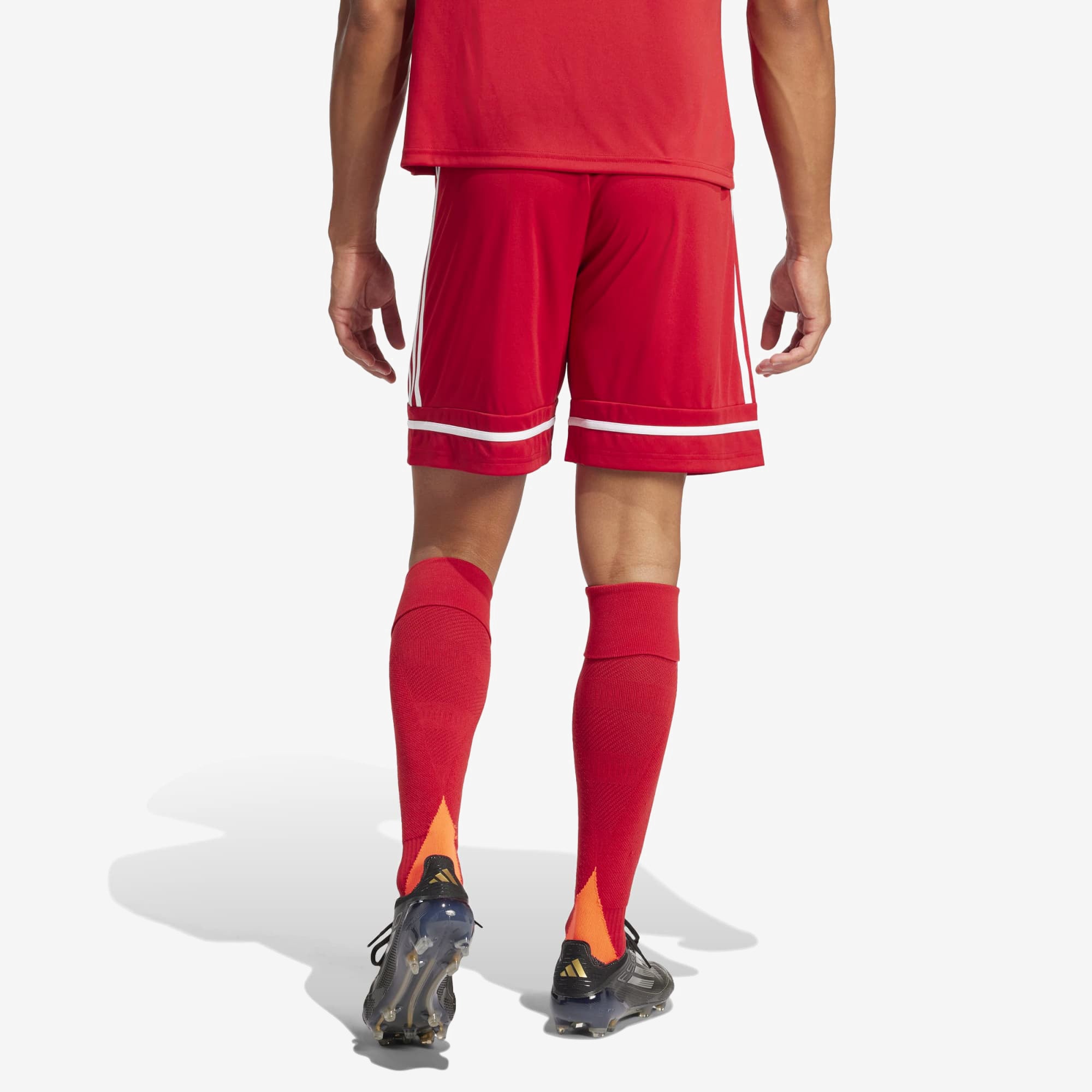 adidas Squadra 25 Men's Soccer Shorts - Team Power Red 2 / Team Power Red 2 / White