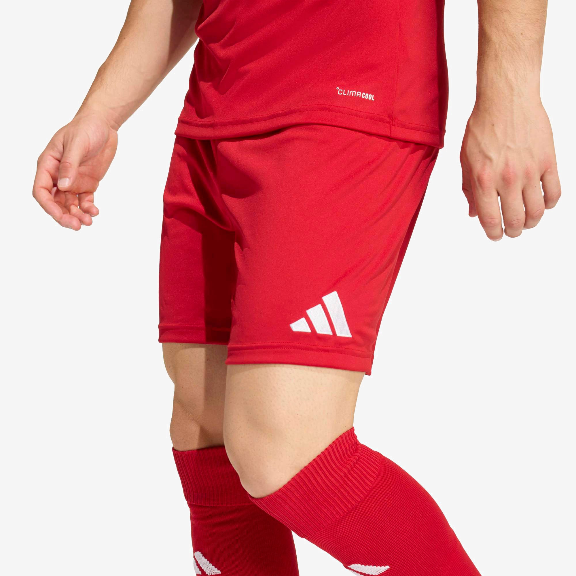 adidas Entrada 26 Men's Soccer Shorts - Team Power Red 2 / White