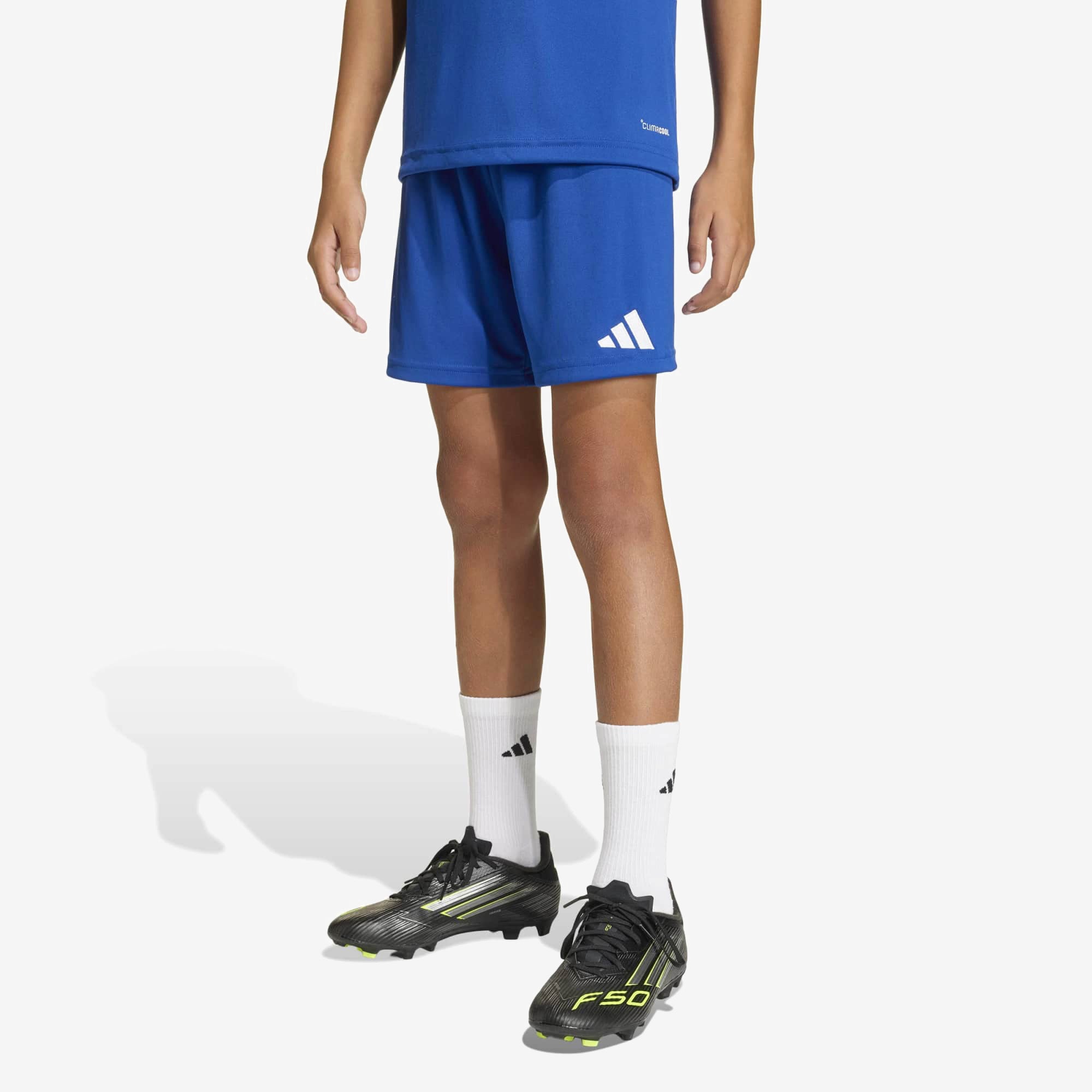 adidas Entrada 26 Big Kids' Soccer Shorts - Team Royal Blue / White