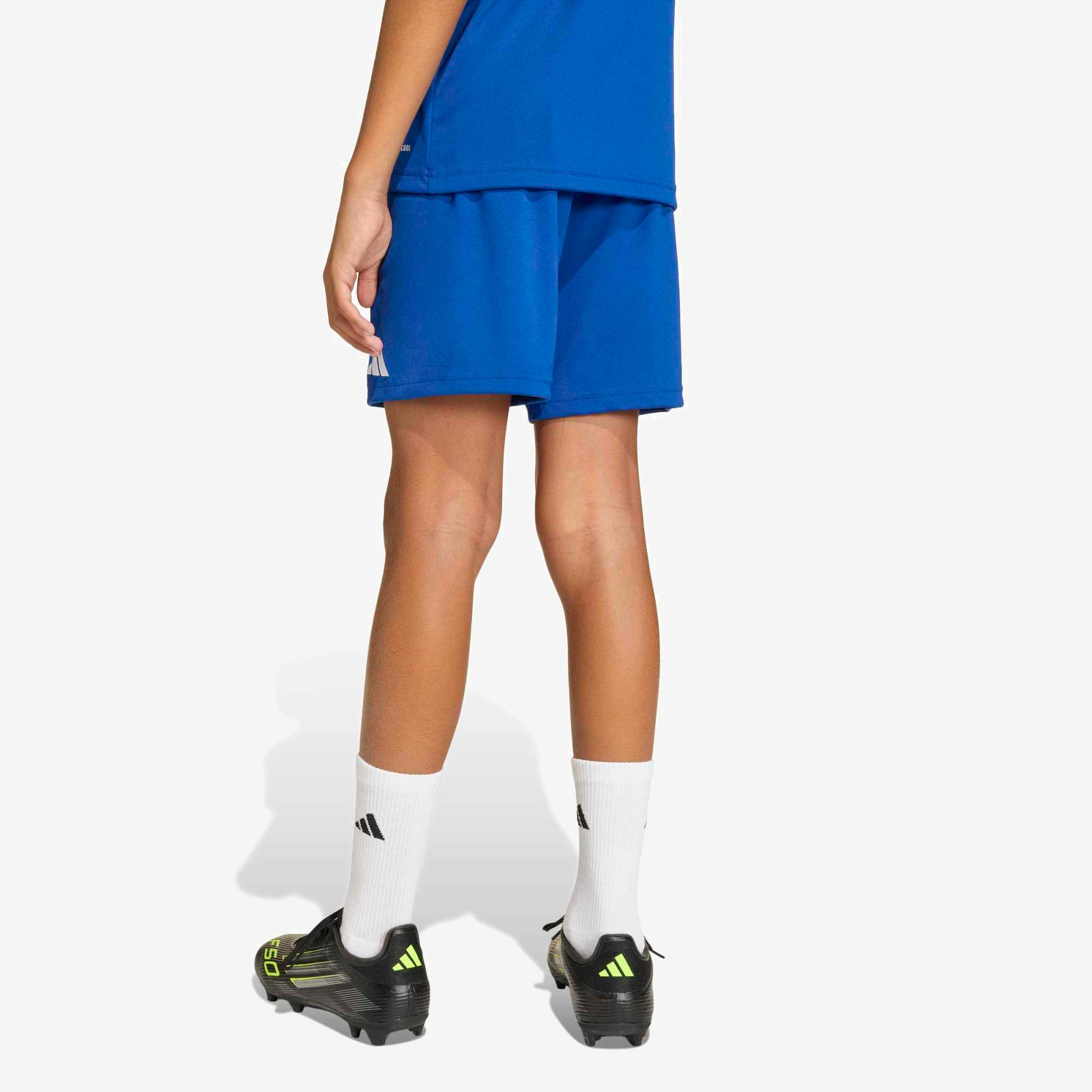 adidas Entrada 26 Big Kids' Soccer Shorts - Team Royal Blue / White