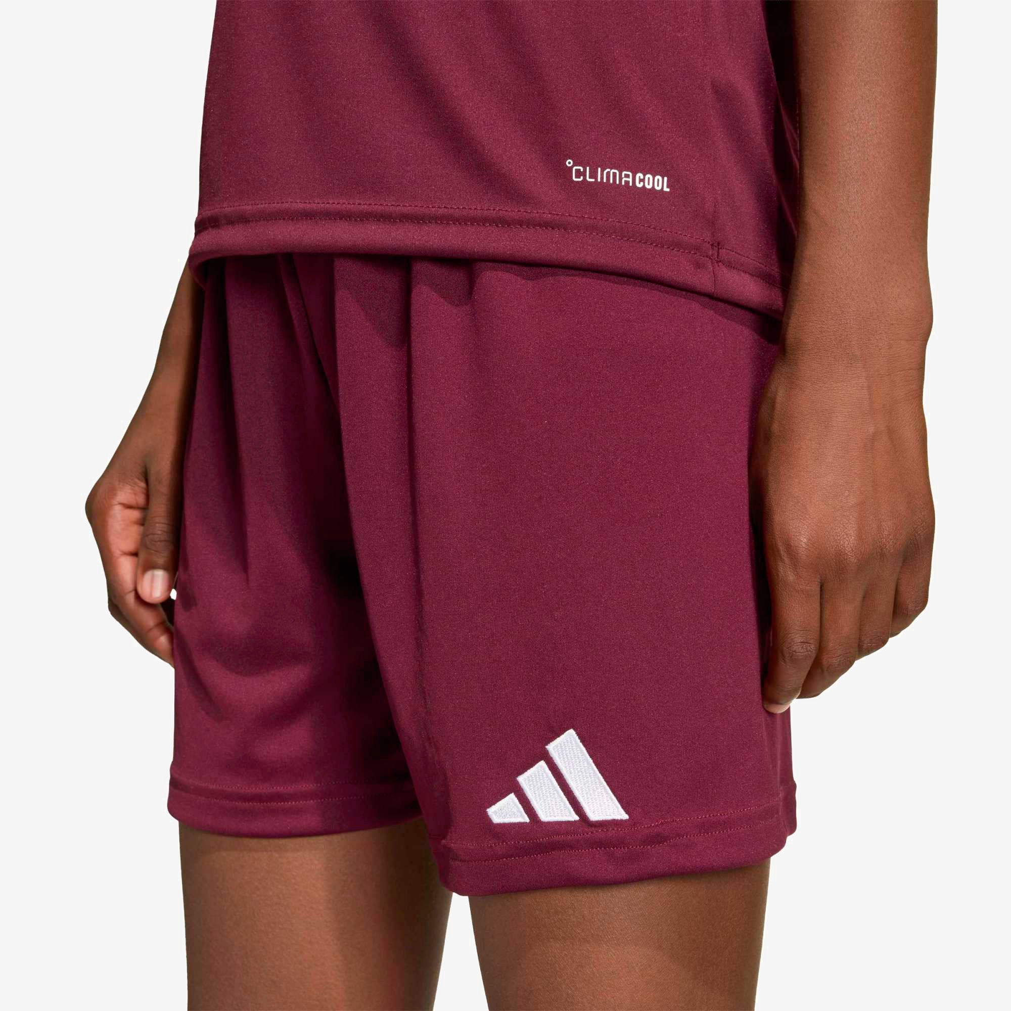 adidas Entrada 26 Shorts Big Kids' Soccer Shorts - Team Maroon 2 / White