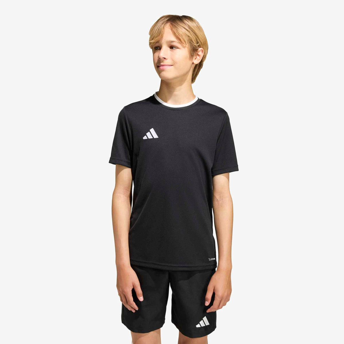 adidas Entrada 26 Polyester Men's T-Shirt - Black / White