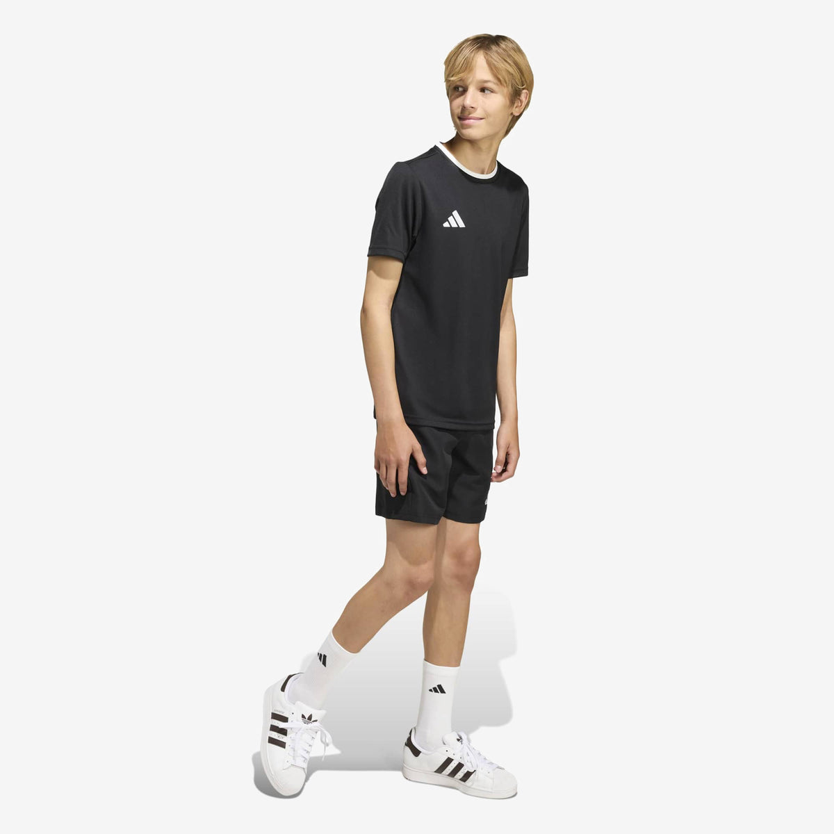 adidas Entrada 26 Polyester Men's T-Shirt - Black / White