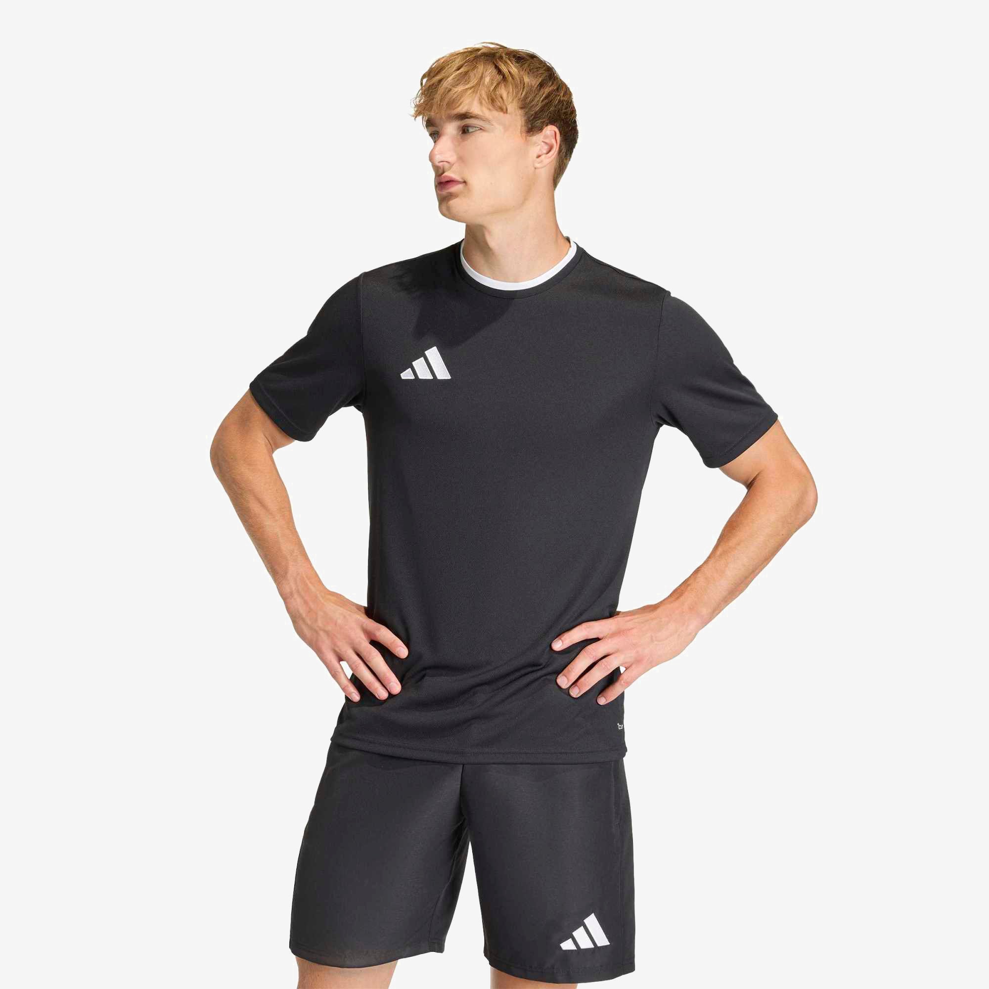adidas Entrada 26 Polyester Men's T-Shirt - Black / White